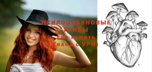 дживик Новодвинск