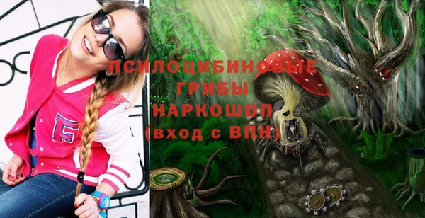дживик Новодвинск