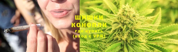 твердый Новокубанск