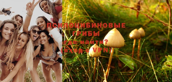 твердый Новокубанск