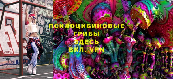PSILOCYBIN Новозыбков