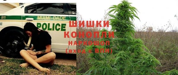 дживик Новодвинск