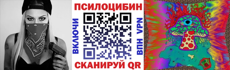 blacksprut tor  Шлиссельбург  Галлюциногенные грибы GOLDEN TEACHER 